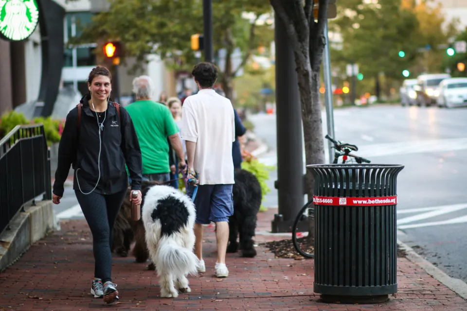 Pedestrians and Walkable Street